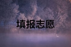 湖南成考怎樣填報(bào)志愿？報(bào)考信息填錯(cuò)怎么辦？