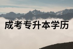 湖南成考本科學(xué)歷對未來就業(yè)真的有用嗎？