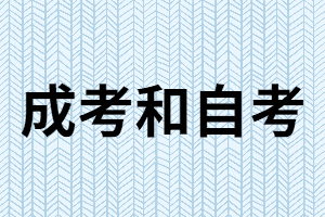 湖南成考和網(wǎng)教誰(shuí)的作用更大？又有什么區(qū)別?