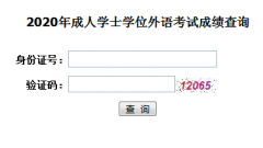 湖北成教成人學位英語成績查詢入口