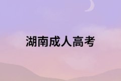沒有高考畢業(yè)證還可以參加湖南成考嗎？