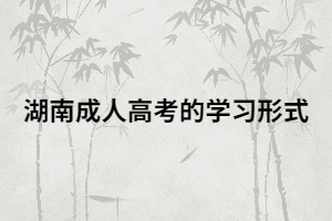 湖南成考上班族可以自己選擇學習方式嗎？