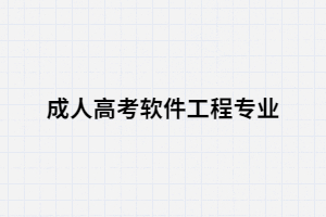 湖南大學(xué)成考軟件工程專業(yè)就業(yè)前景怎么樣？