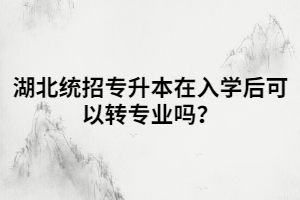 湖北統(tǒng)招專升本在入學(xué)后可以轉(zhuǎn)專業(yè)嗎？