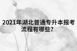 2021年湖北普通專升本報考流程有哪些？