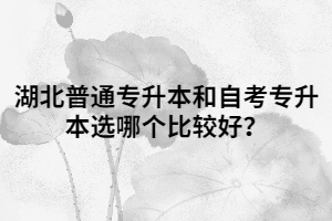 湖北普通專升本和自考專升本選哪個比較好？