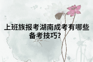 上班族報考湖南成考有哪些備考技巧？