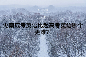 湖南成考英語(yǔ)比起高考英語(yǔ)哪個(gè)更難？