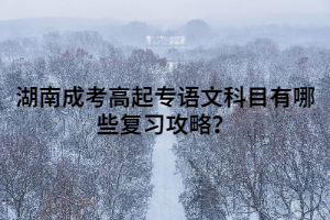 湖南成考高起專語文科目有哪些復(fù)習(xí)攻略？