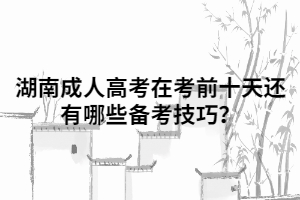 湖南成人高考在考前十天還有哪些備考技巧？