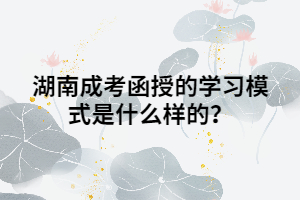 湖南成考函授的學(xué)習(xí)模式是什么樣的？