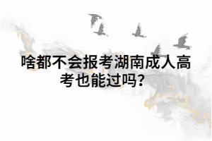 啥都不會(huì)報(bào)考湖南成人高考也能過(guò)嗎？