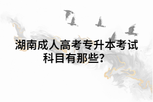湖南成人高考專升本考試科目有那些？