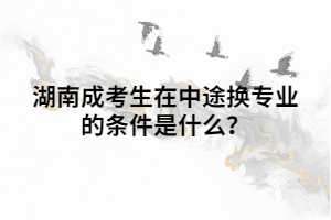 湖南成考生在中途換專業(yè)的條件是什么？