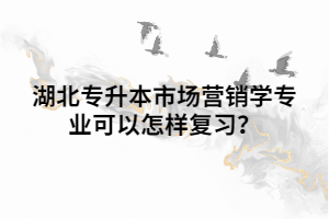 湖北專升本市場(chǎng)營(yíng)銷學(xué)專業(yè)可以怎樣復(fù)習(xí)?