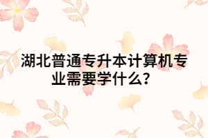 湖北普通專升本計算機(jī)專業(yè)需要學(xué)什么？