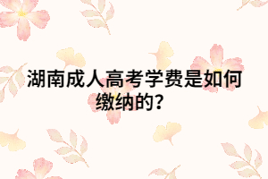 湖南成人高考學費是如何繳納的？