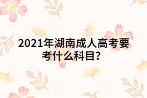 2021年湖南成人高考要考什么科目？