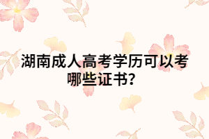 湖南成人高考學(xué)歷可以考哪些證書？
