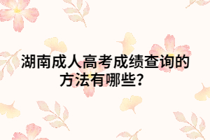 湖南成人高考成績(jī)查詢的方法有哪些？