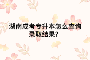 湖南成考專升本怎么查詢錄取結(jié)果？