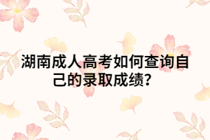 湖南成人高考如何查詢自己的錄取成績(jī)？