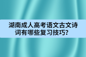 湖南成人高考語文古文詩詞有哪些復(fù)習(xí)技巧？