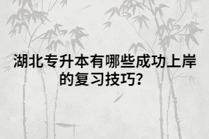 湖北專升本有哪些成功上岸的復(fù)習(xí)技巧？