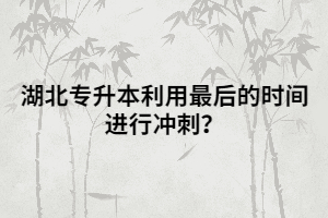 湖北專升本利用最后的時間進行沖刺?