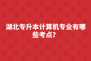 湖北專升本計算機專業(yè)有哪些考點?