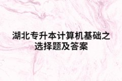 湖北專升本計算機基礎(chǔ)之選擇題及答案（一)