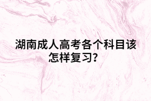 湖南成人高考各個科目該怎樣復(fù)習(xí)？