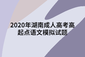 2020年湖南成人高考高起點(diǎn)語(yǔ)文模擬試題七