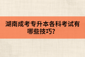 湖南成考專升本各科考試有哪些技巧？