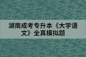 湖南成考專升本《大學(xué)語文》全真模擬題(二)