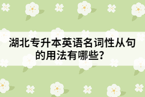 湖北專升本英語名詞性從句的用法有哪些？