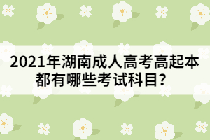 2021年湖南成人高考高起本都有哪些考試科目？