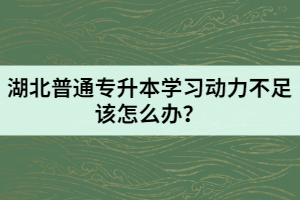 湖北普通專升本學習動力不足該怎么辦？