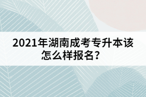 2021年湖南成考專升本該怎么樣報名？
