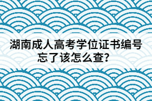 湖南成人高考學(xué)位證書編號(hào)忘了該怎么查？