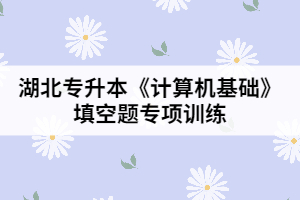 湖北專升本《計(jì)算機(jī)基礎(chǔ)》填空題專項(xiàng)訓(xùn)練(一)