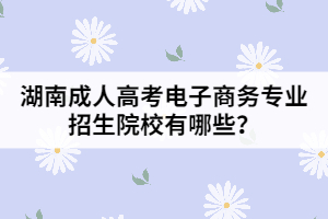 湖南成人高考電子商務(wù)專業(yè)招生院校有哪些？