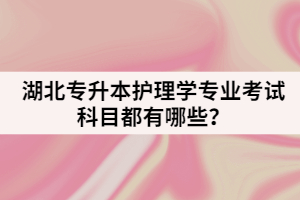 湖北師范大學(xué)專升本學(xué)前教育專業(yè)該怎樣復(fù)習(xí)?