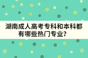 湖南成人高考專科和本科都有哪些熱門專業(yè)？