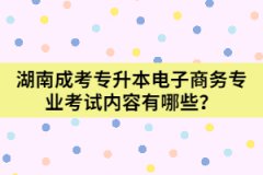 湖南成考專升本電子商務專業(yè)考試內容有哪些？