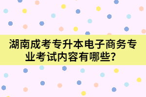 湖南成考專(zhuān)升本電子商務(wù)專(zhuān)業(yè)考試內(nèi)容有哪些？