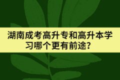 湖南成考高升專和高升本學(xué)習(xí)哪個(gè)更有前途？