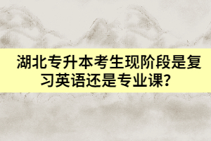 湖北專升本考生現(xiàn)階段是復(fù)習(xí)英語(yǔ)還是專業(yè)課?