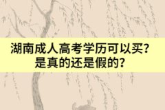 湖南成人高考學(xué)歷可以買？是真的還是假的？