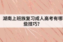 湖南上班族復(fù)習(xí)成人高考有哪些技巧？